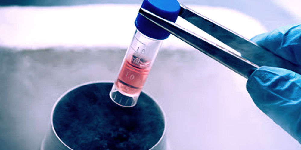 Hair StemCells