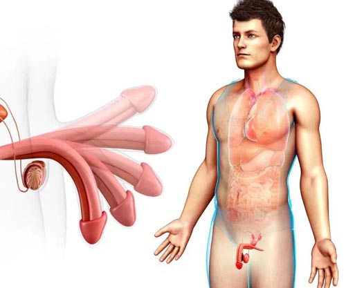 Premier Shockwave therapy