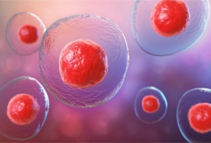 stem cell procedure for ED