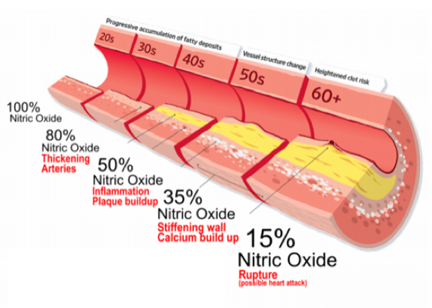 erectile dysfunction Vascular illness
