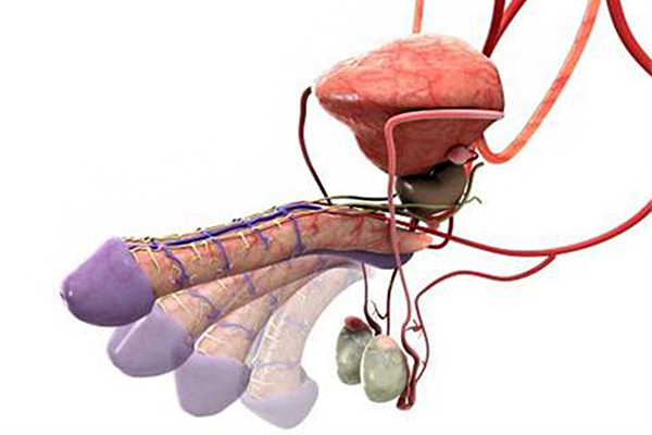 erectile dysfunction Neurological conditions